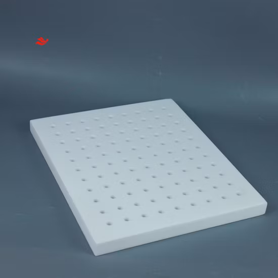 Quadratisches Sieb 300 * 250 mm PTFE-Spurenelementanalyse
